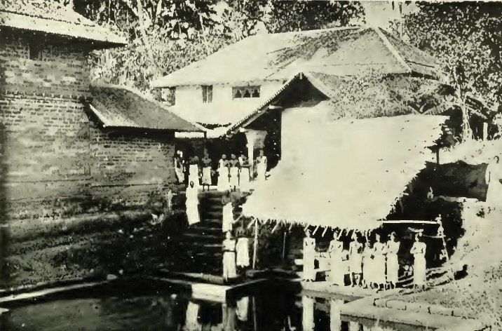 Image7