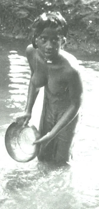 Image4