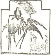 Illustration from the original edition