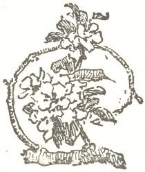 Illustration from the original edition