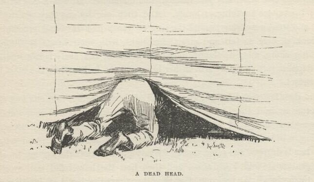 https://www.gutenberg.org/cache/epub/76/images/c22-191.jpg