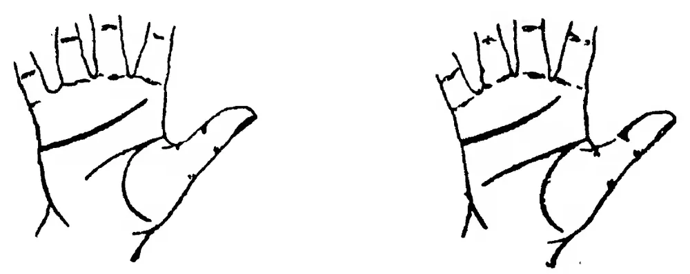 Fig 1. Fig 2. The Line of Heart rising on Mount of Apollo