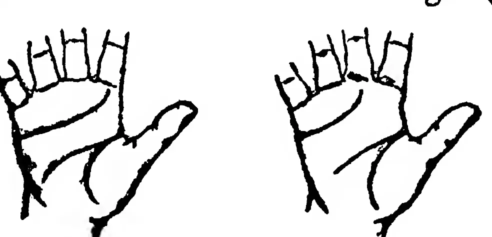 Fig 3. Fig 4. the Line of Heart