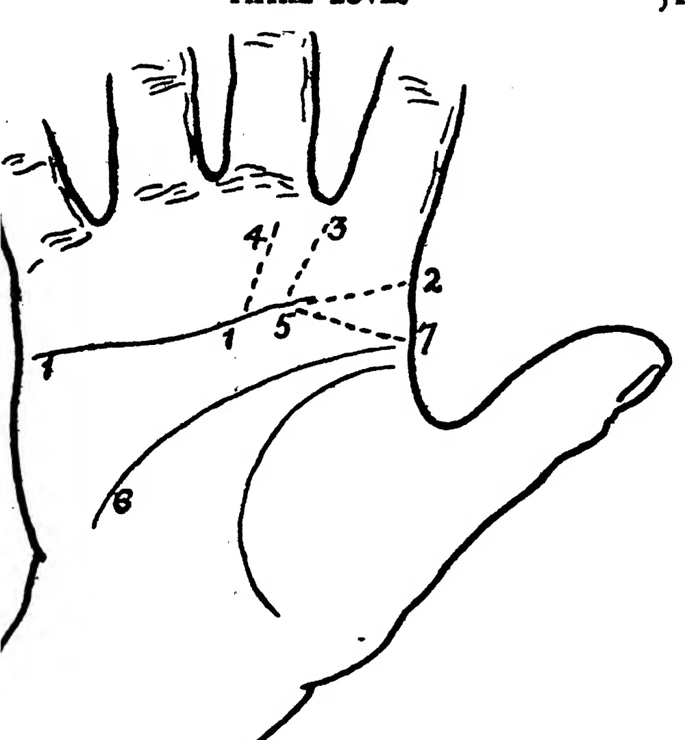 Fig 5. The Line of Heart and some of its Variations