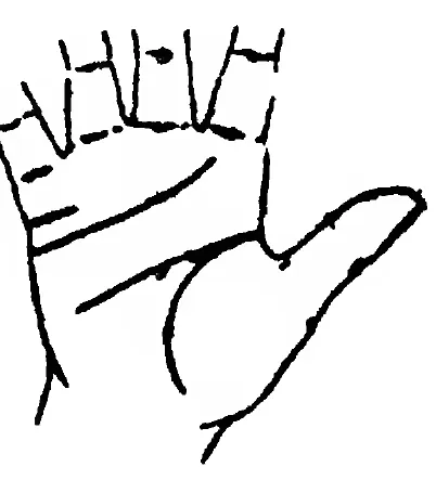 Fig 6. the Line of Marriage