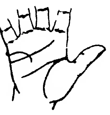 Fig 7. the Line of Marriage