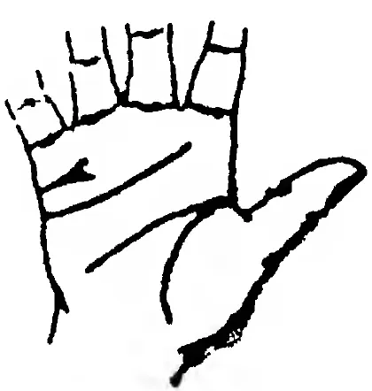 Fig 8. the Line of Marriage