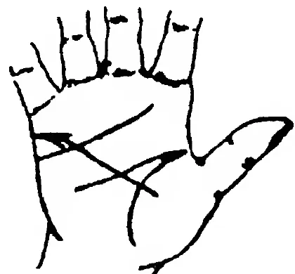 Fig 9. the Line of Marriage