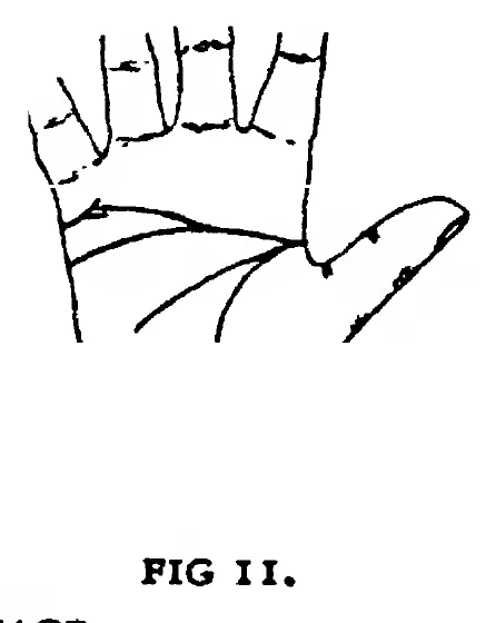 Fig 11. the Line of Marriage