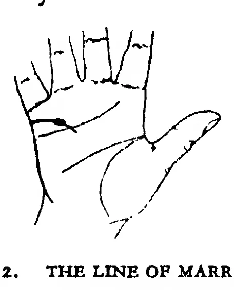 Fig 12. the Line of Marriage