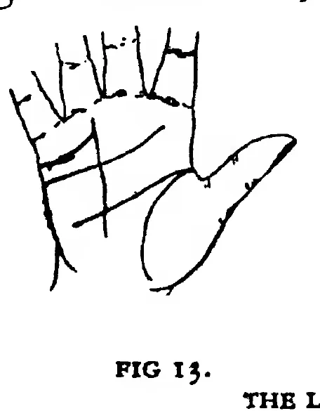 Fig 13. the Line of Marriage