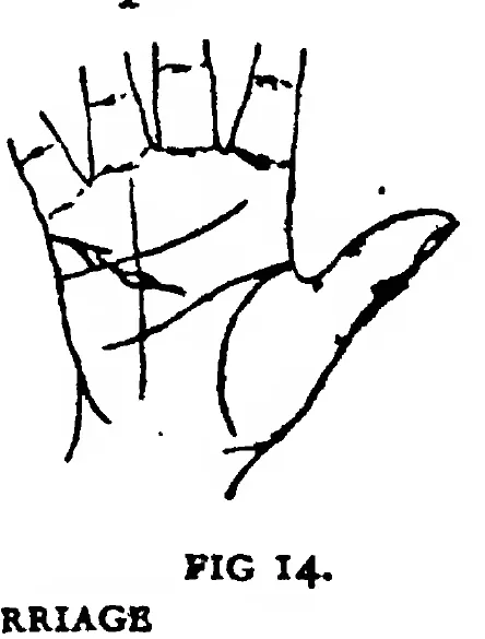 Fig 14. the Line of Marriage