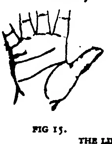 Fig 15. the Line of Marriage