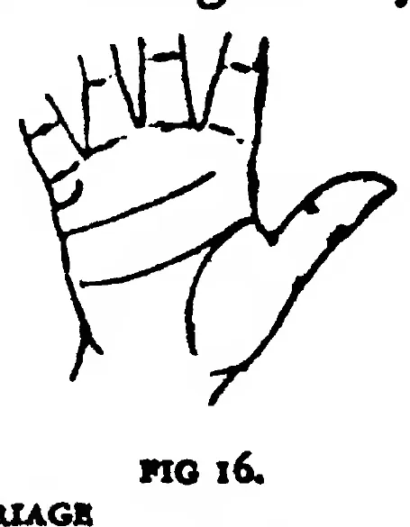 Fig 16. the Line of Marriage