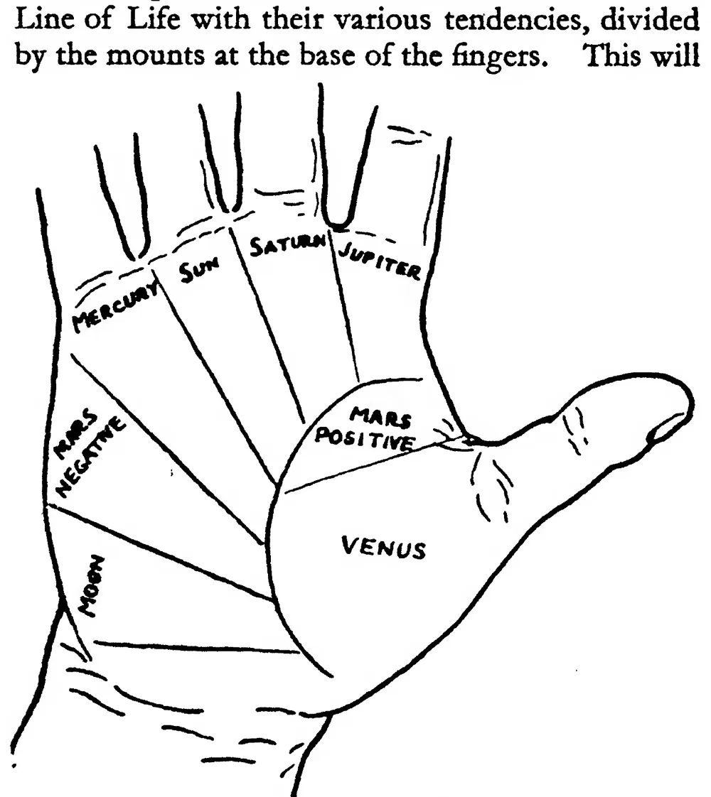 Special Plate. the Line of Life and Sections of Influences from the Mounts