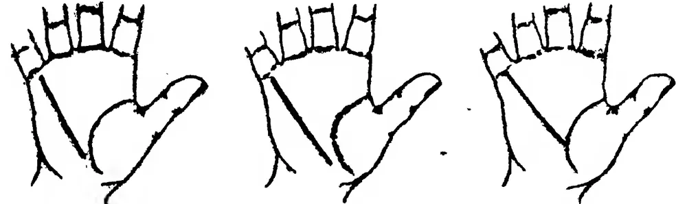 Fig 22. Fig 23. Fig 24. the Line of Health