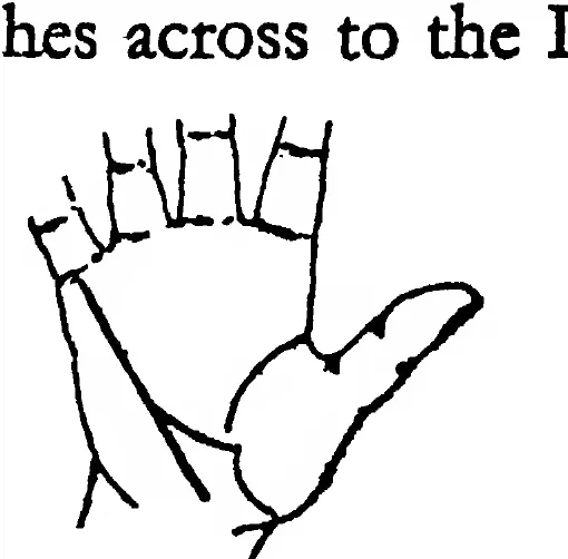 Fig 27. the Line of Health