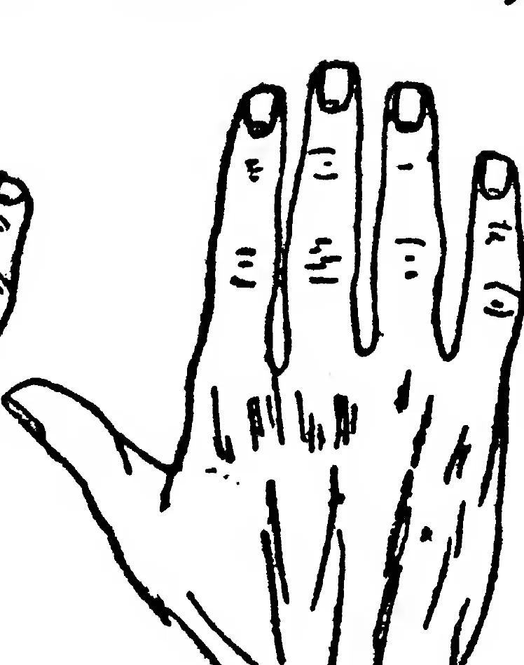 Fig. 31. the Square Useful Hand