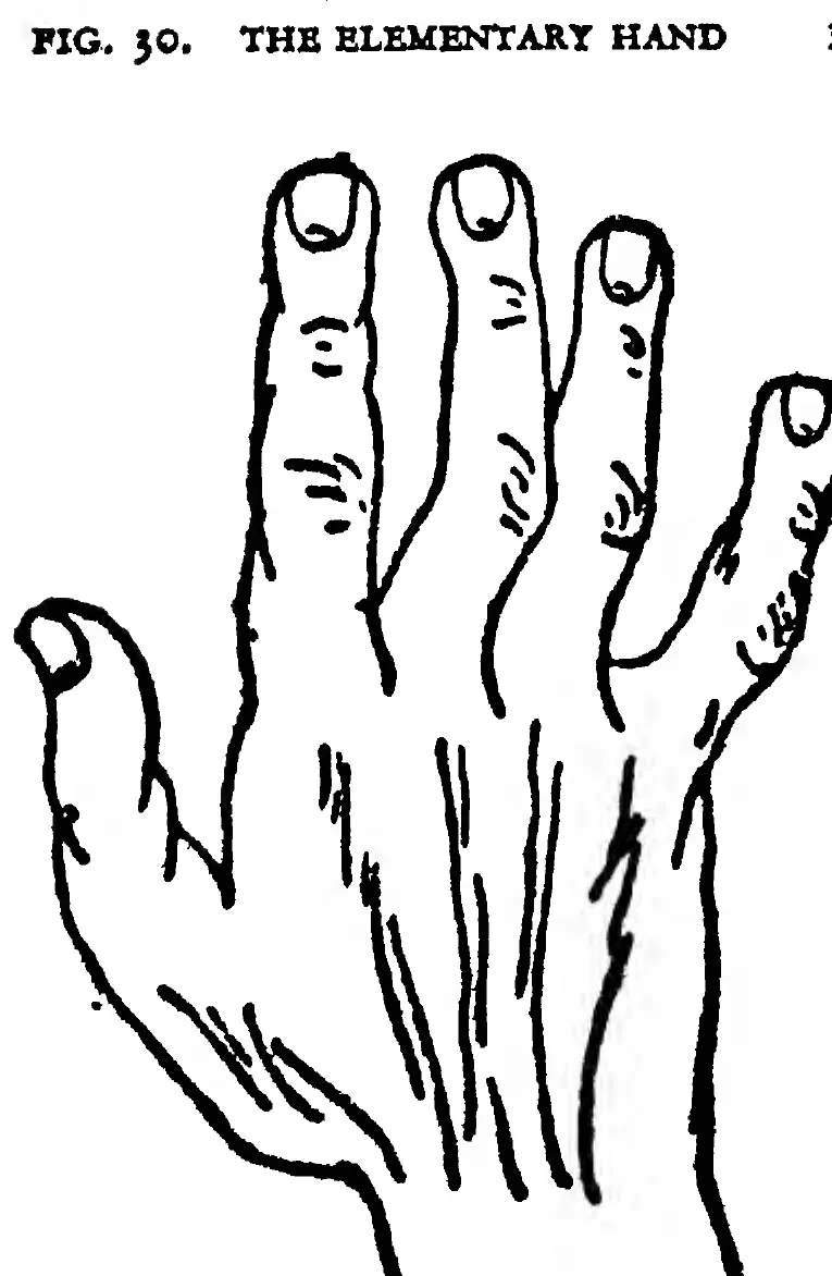 Fig. 32. the Spatulate Hand