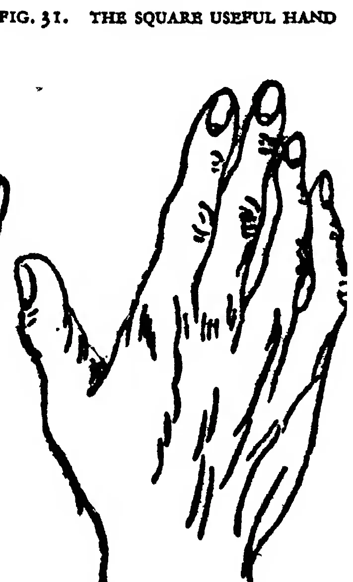 Fig. 33. the Philosophic Hand