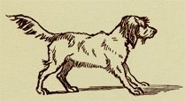Illustration from the original edition