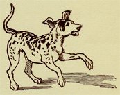 Illustration from the original edition