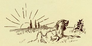 Illustration from the original edition