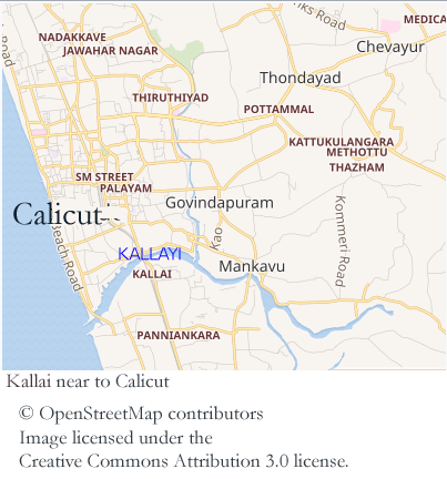 15.-Kallai.png