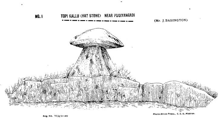 196.jpg