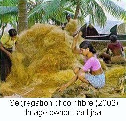 107-Coir.jpg