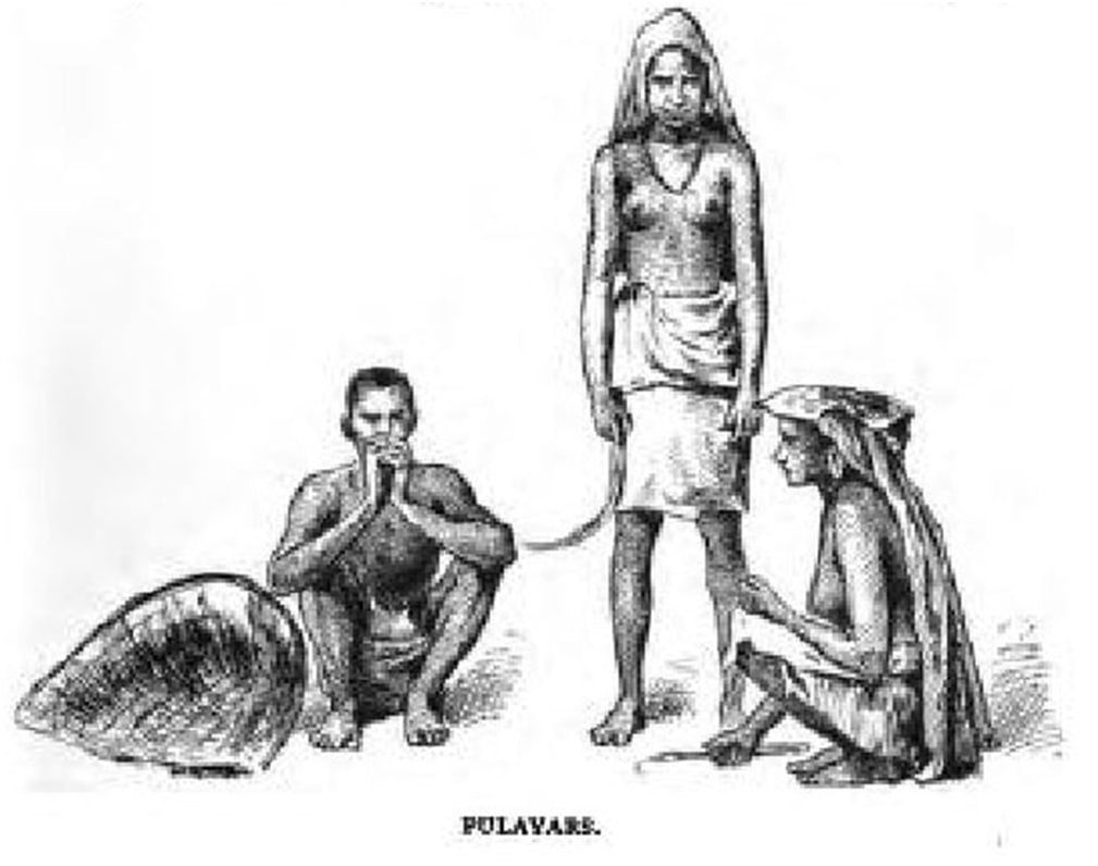 Image24