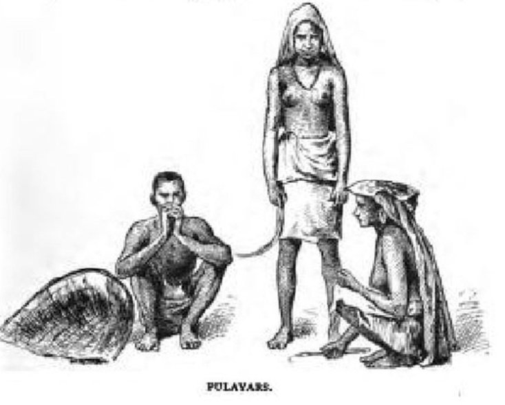 Pulaya2