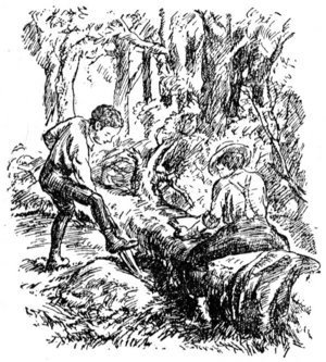 Illustration from the original edition