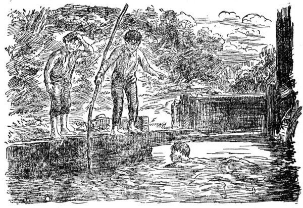 Illustration from the original edition