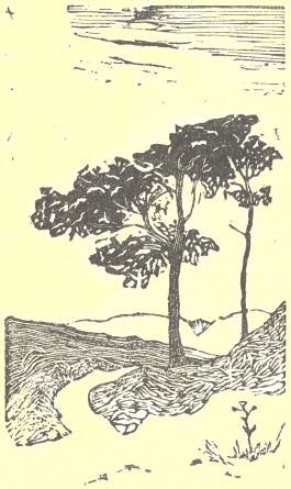 Illustration from the original edition