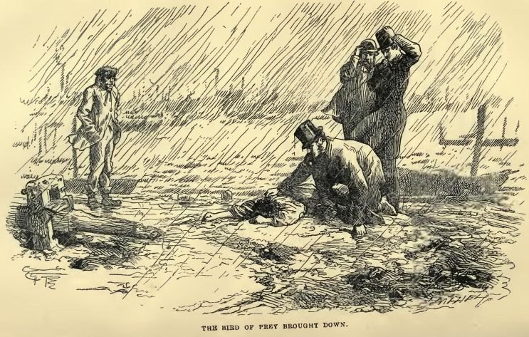Illustration from the original edition