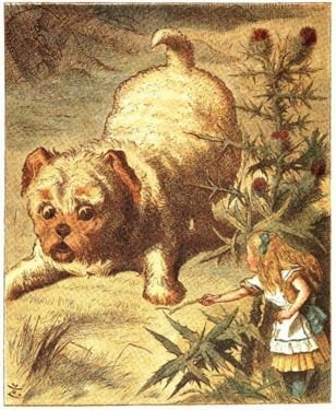Illustration from the original edition