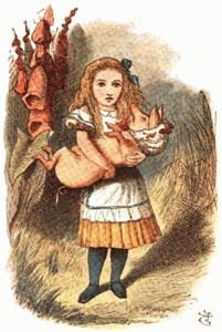 Illustration from the original edition