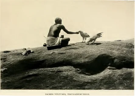 Image3