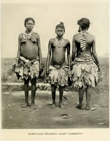 Image8