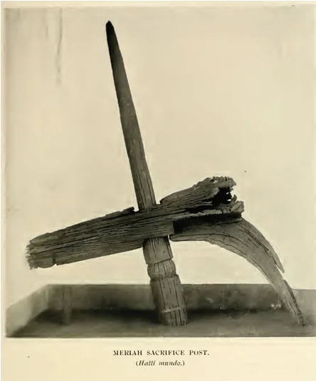 Image12