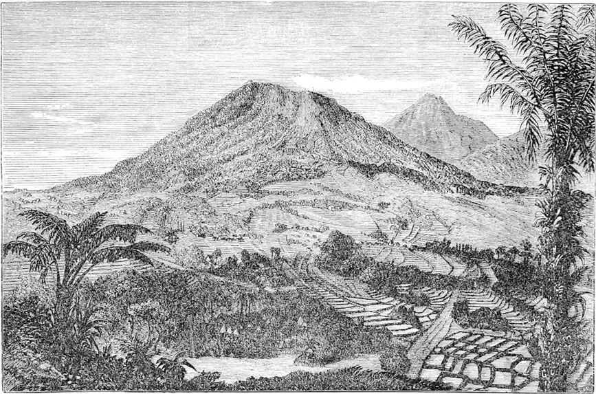 View in the Interior of Java.
