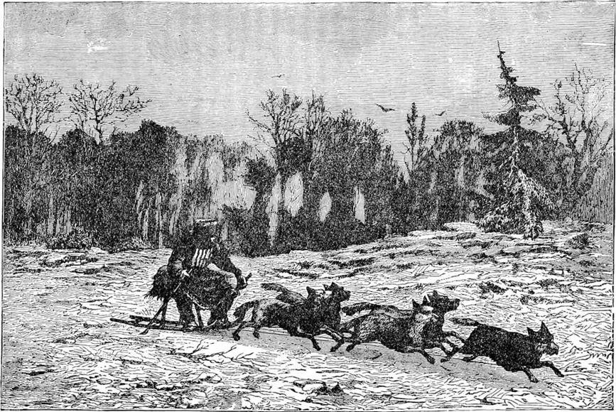 The Siberian Dog-Sledge.