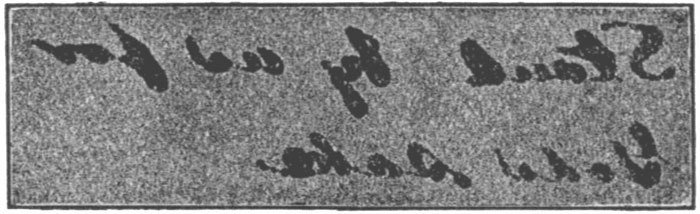 Illustration from the original edition