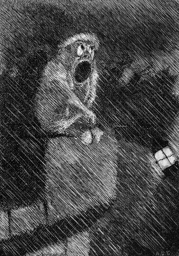 Illustration from the original edition