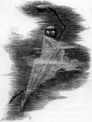 Illustration from the original edition