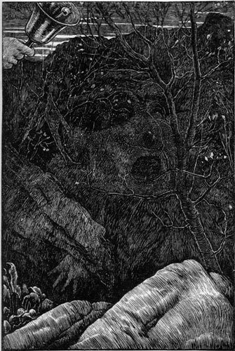 Illustration from the original edition