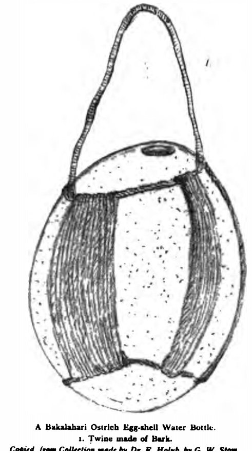 504-b.jpg