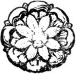 Illustration from the original edition