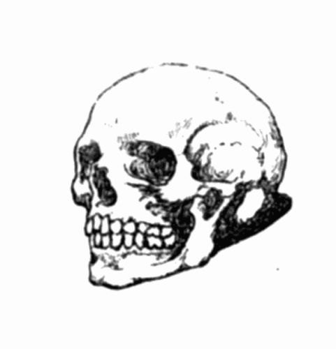 Illustration from the original edition
